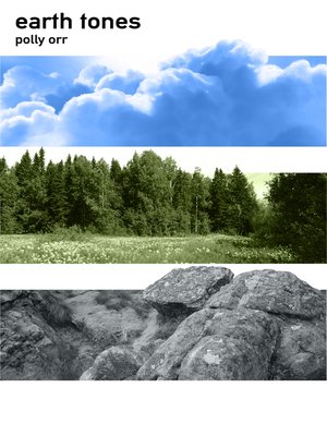 cover image of Earth Tones